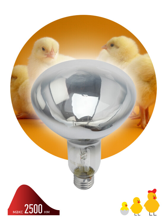 Лампа инфракрасная накал. (ИКЗ) R127 250Вт Е27 для обогрева животных и освещения ЭРА