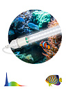 Фитолампа для растений светодиодная ЭРА FITO-15W-Ra90-Т8-AQUA для аквариума, 15 Вт, полный спектр-Лампы специального назначения - купить по низкой цене в интернет-магазине, характеристики, отзывы | АВС-электро