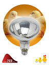 Лампа инфракрасная накал. (ИКЗ) R127 250Вт Е27 для обогрева животных и освещения ЭРА-Лампы специального назначения - купить по низкой цене в интернет-магазине, характеристики, отзывы | АВС-электро