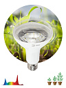 Лампа (LED) для растен. (все стадии) R95 Е27 15Вт 22,5 мкмоль/с 380...780нм 6500К 230В FITO ЭРА-Лампы специального назначения - купить по низкой цене в интернет-магазине, характеристики, отзывы | АВС-электро